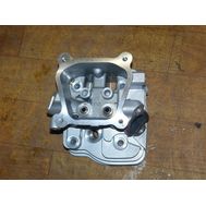 Головка блока цилиндра для Зубр ЗЭСГ-2200-М2 <br>(Артикул: U592-250-129)