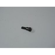 Винт специальный М6 для Зубр ЗПТП-255-1800 <br>(Артикул: U569-183-146)