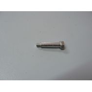 Болт специальный М6 для Зубр ЗПДЭ-235-2200 <br>(Артикул: N000-005-160)